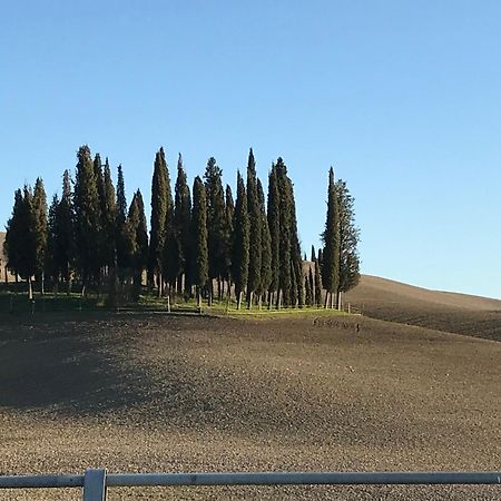 Il Giuggiolo Apartment Montalcino Exterior photo